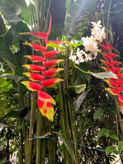 Abrahams Spice Garden-5